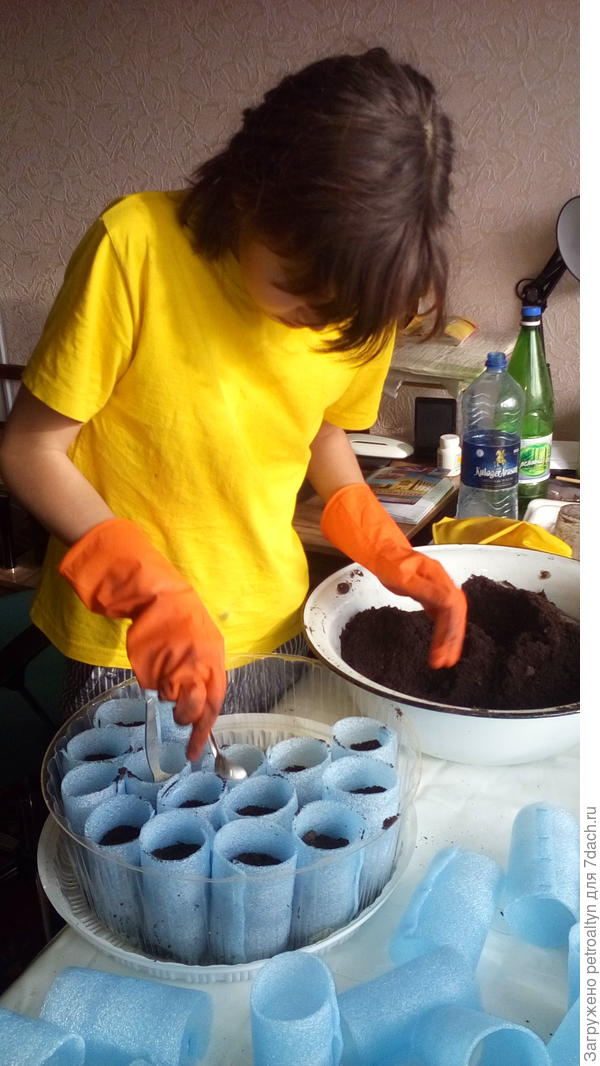 внучка помогает