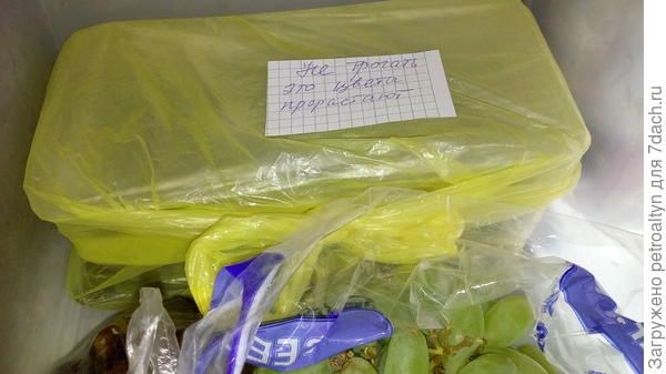 написала для своих домочадцев!