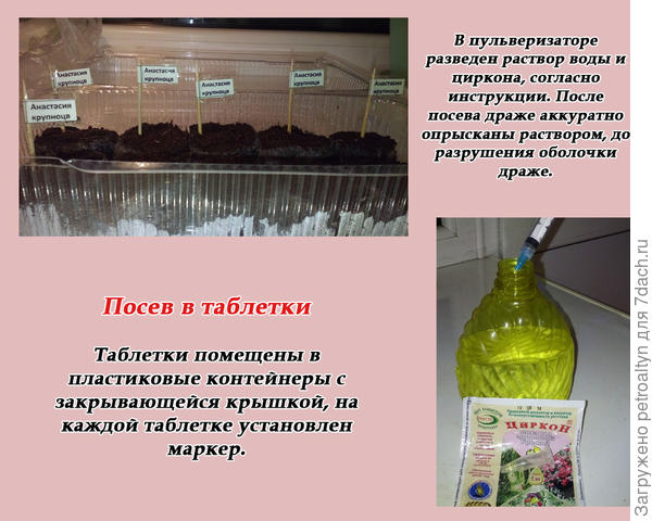 слайд №4