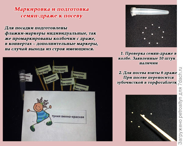 слайд №3