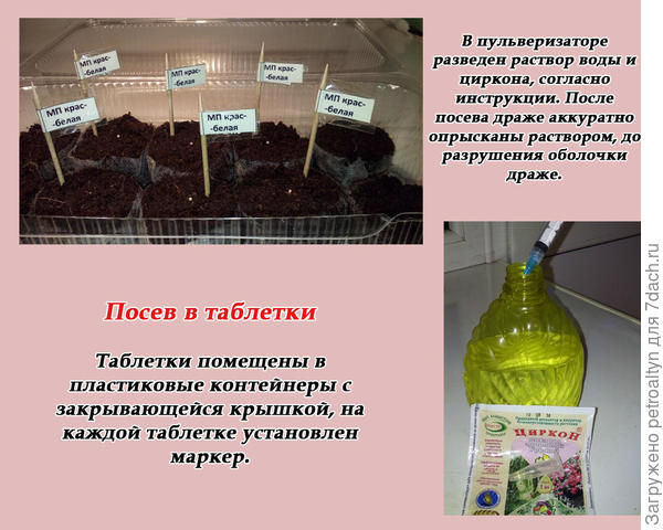 слайд №4