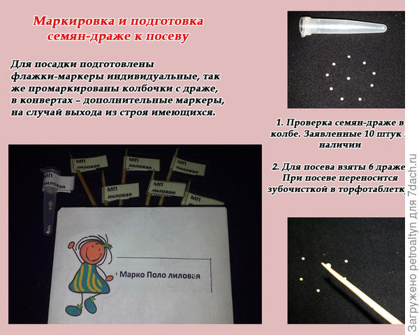слайд №3