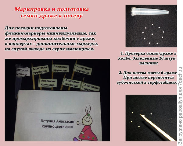 слайд №3