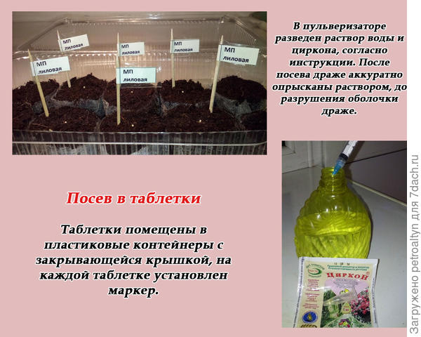 слайд №4