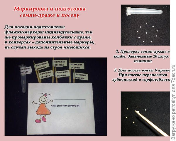слайд №3