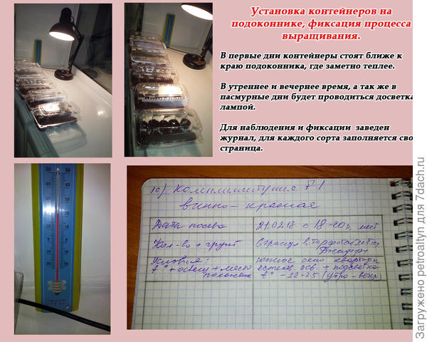 слайд №5