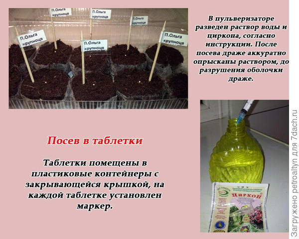 слайд №4