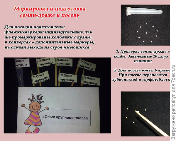 слайд №3