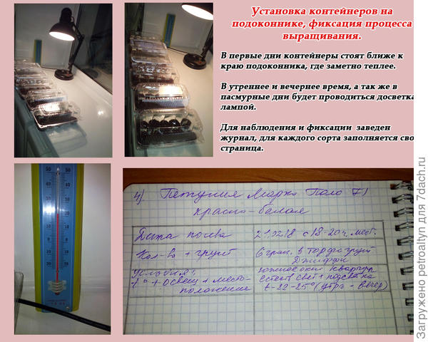 слайд №5