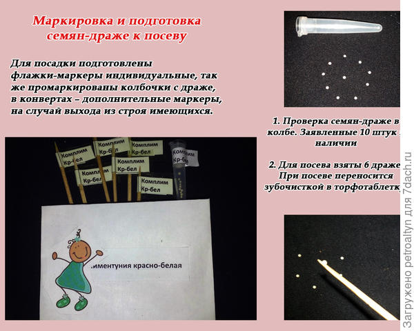 слайд №3