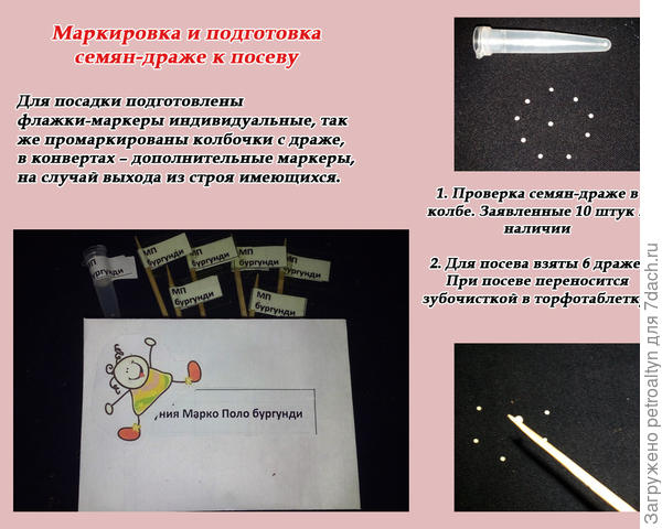 слайд №3