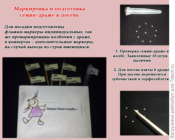 слайд №3