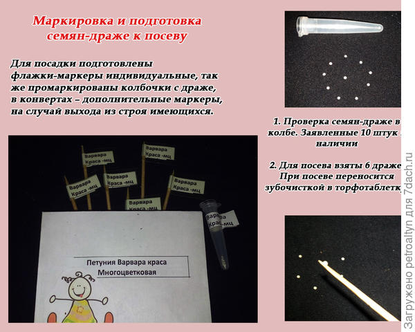 слайд №3