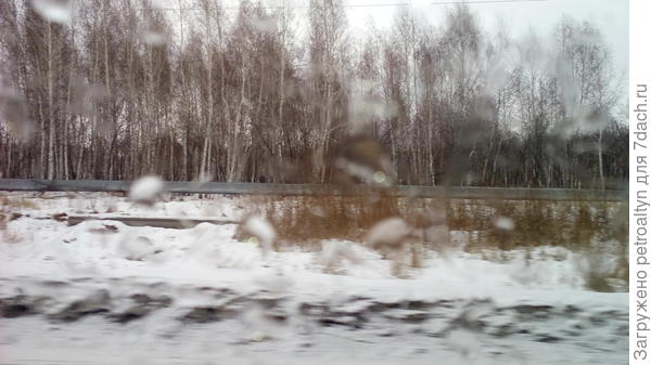 уже пошли наши рощицы и лески