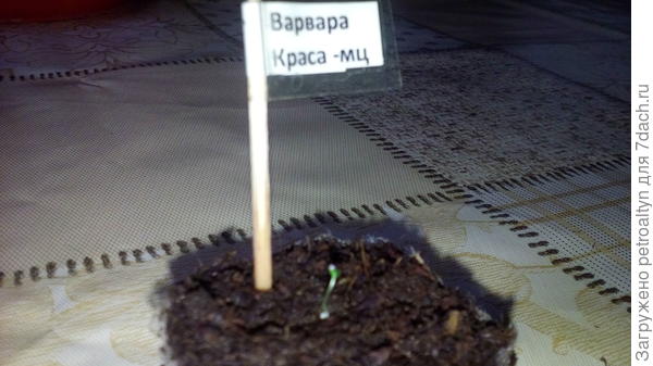 вс