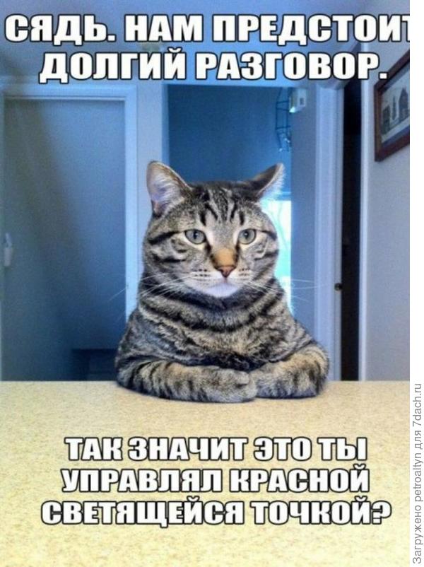 и о котиках)))