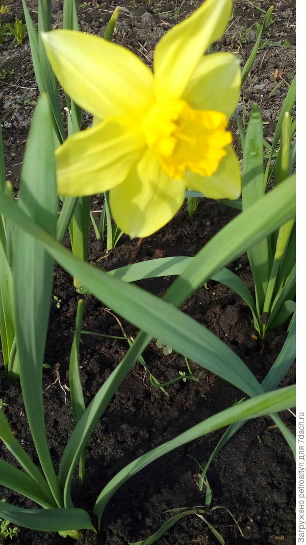 а это 23 апреля 2016