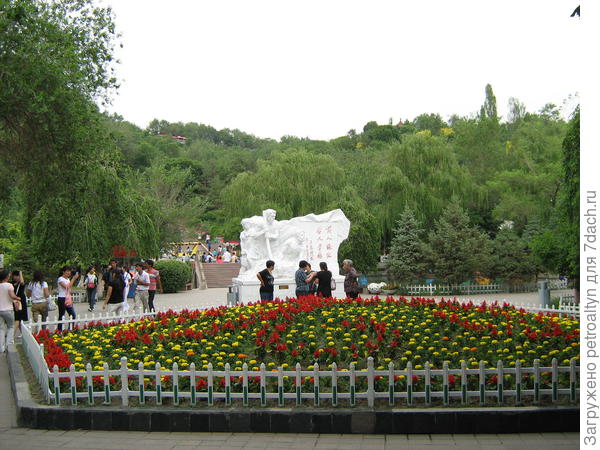 клумба