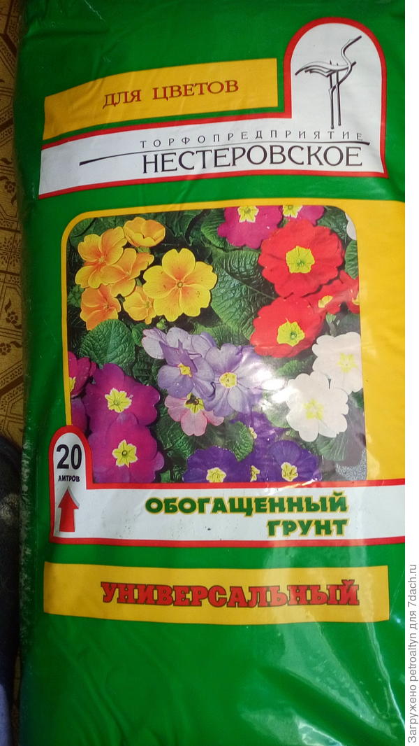 грунт