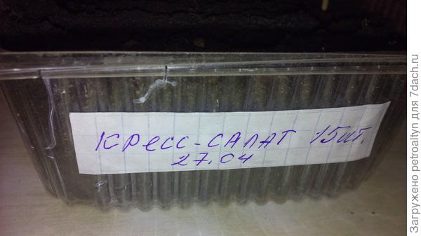 маркировка