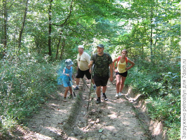 нас тут компания собралась.