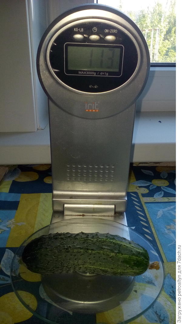 взвешиваю
