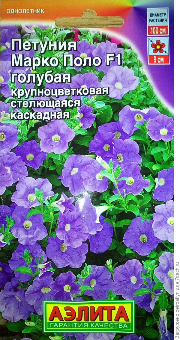 этикетка