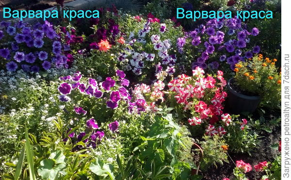 12 августа