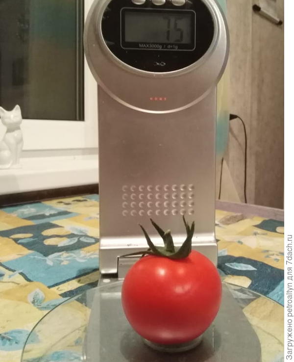 рр