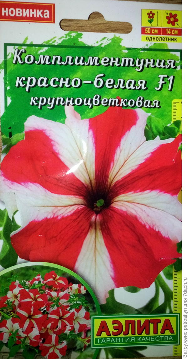 таким должен был быть цветок
