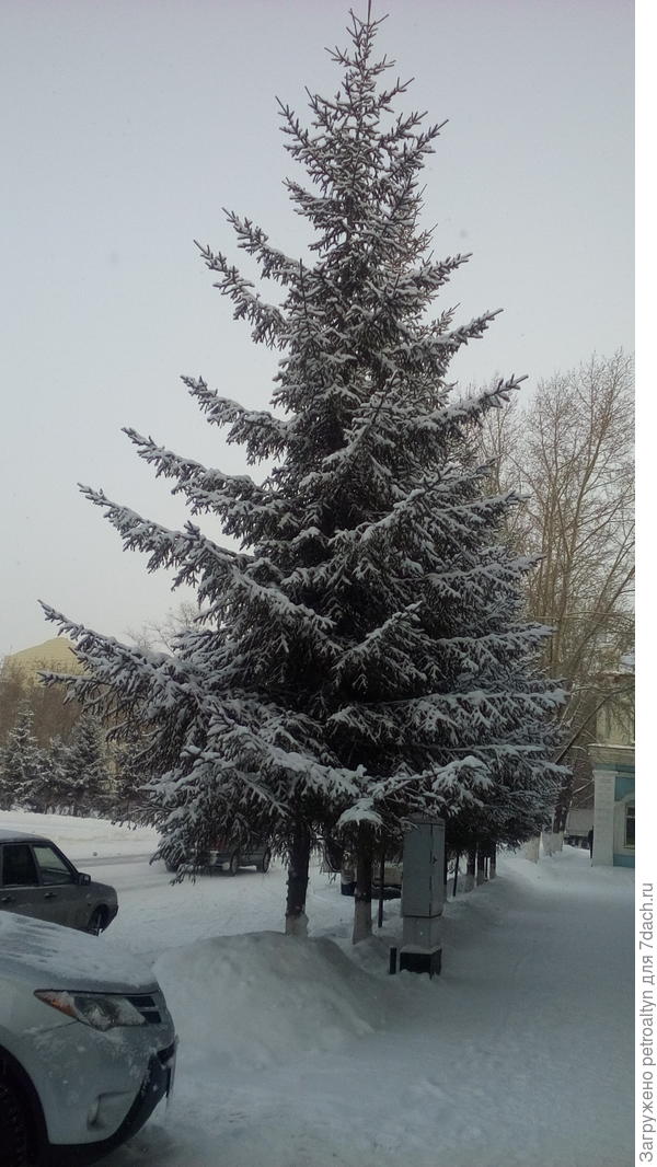 это в городе фоткала