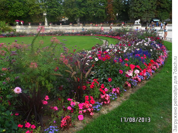 6.Миксбордер?