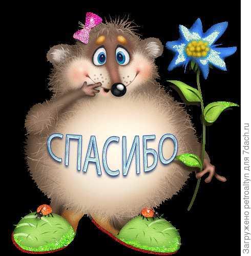 Поздравления картинки, открытка спасибо паша