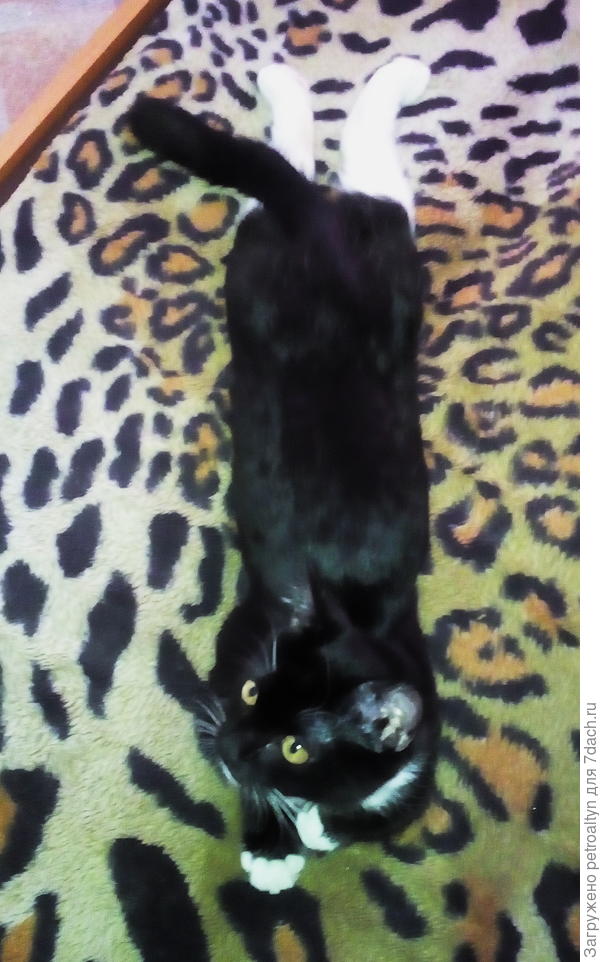 &amp;quot;В смысле первое место? Я - победил???&amp;quot;