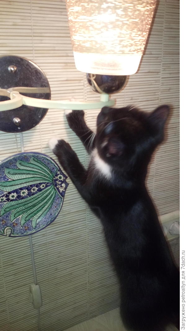 &amp;quot;Охо-хо-хо... а пылюка то внутри плафона.... как же залезть вытереть то???&amp;quot;