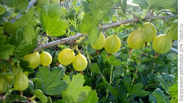 осталось подождать совсем немного)))