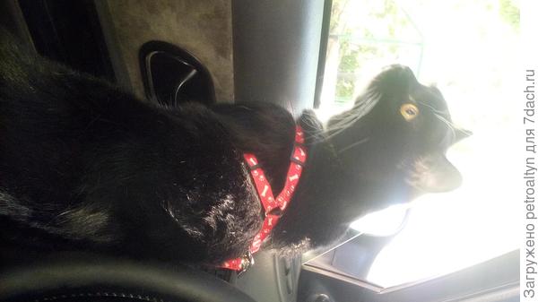 Ой, фотка не поворачивается)