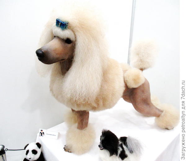 куклы