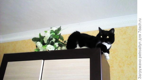 Обожаю шкафы! В зале))