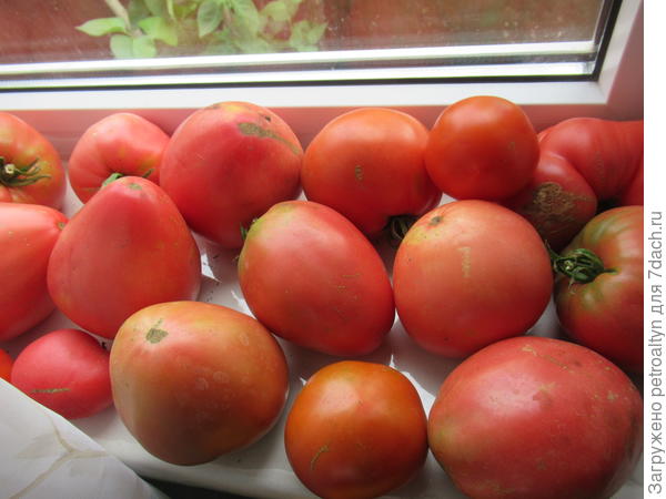 шапка Мономаха