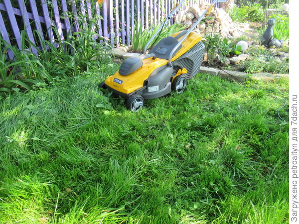 освоить повороты и маршрут движения по газону - главная задача!