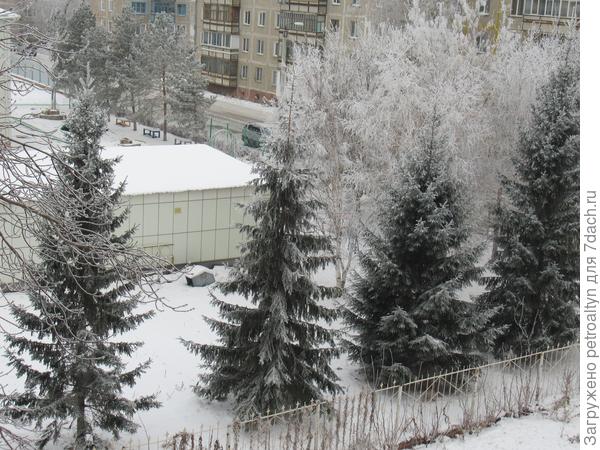 вид из окошка