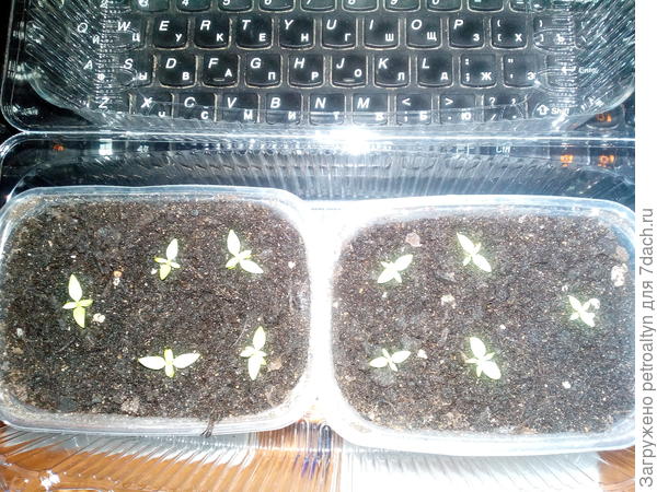 засветилась фотка что то)