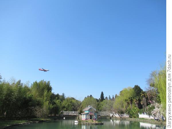 адлер