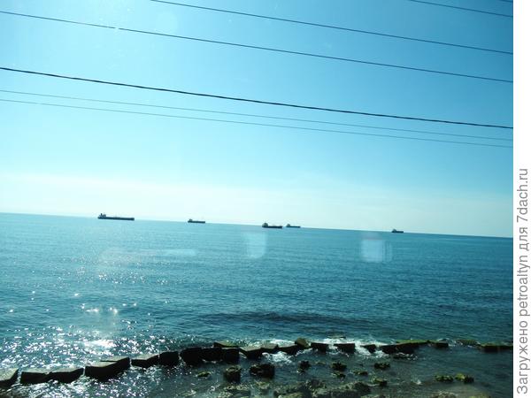 адлер