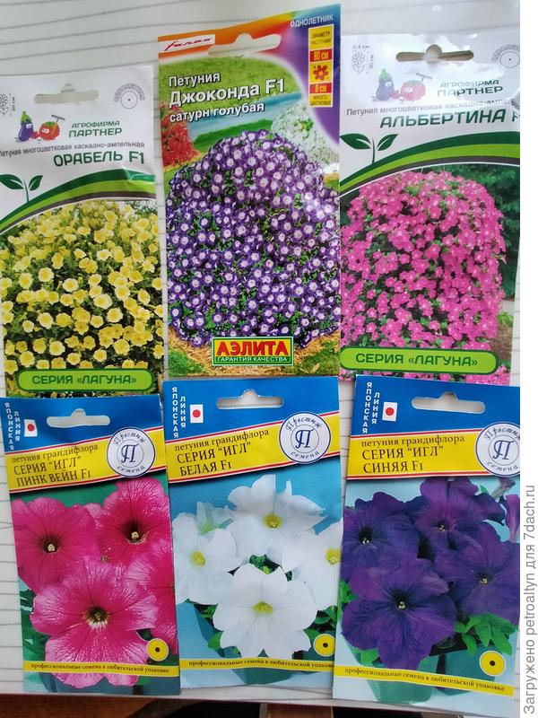 для нового сезона.