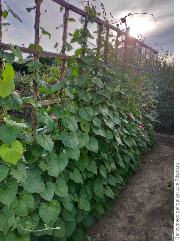 Здесь у меня 3 отдельных секции, но стоят рядом и получается на 3 метра