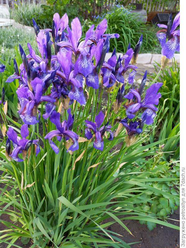 не удержусь, вставлю парочку и своих)))