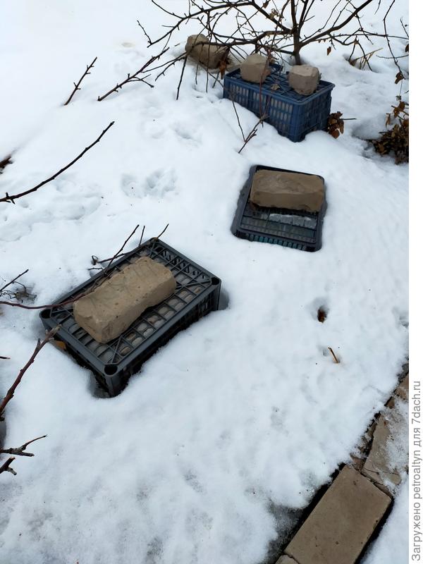 скоро розы поеду открывать