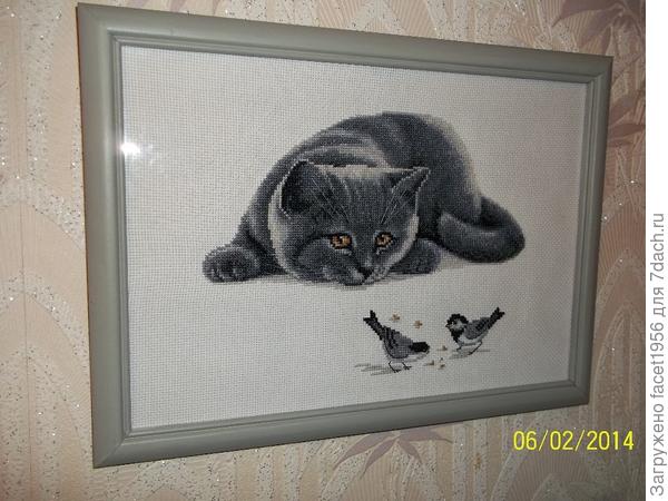 Наблюдатель